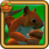 Download Squirrel Simulator 2 : Online