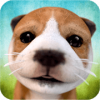 Download Dog Simulator