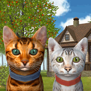 Download Cat Simulator