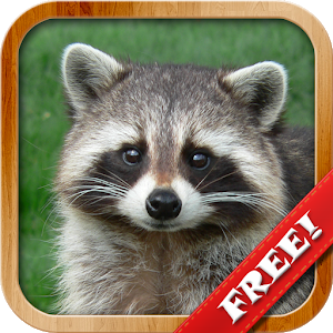 Download Animals for Kids