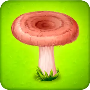 Download Forest Clans - Mushroom Farm